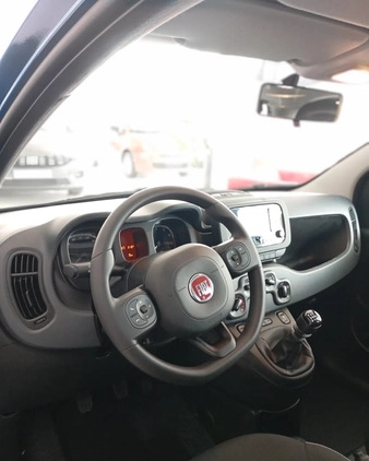 Fiat Panda cena 67000 przebieg: 1, rok produkcji 2024 z Jelcz-Laskowice małe 7